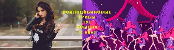 твердый Алзамай