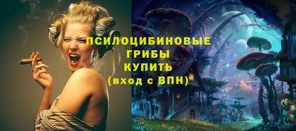 спайс Алексин