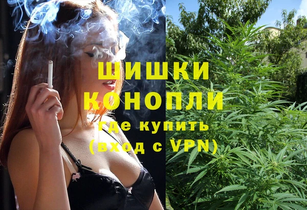 спайс Алексин