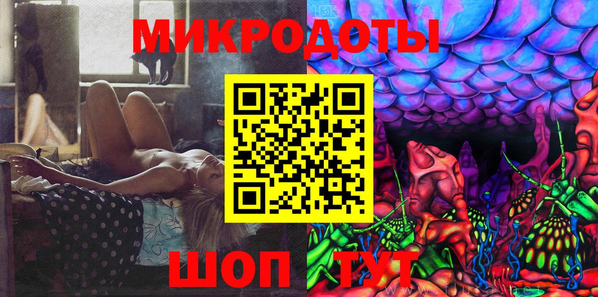 Галлюциногенные грибы Psilocybe Березники