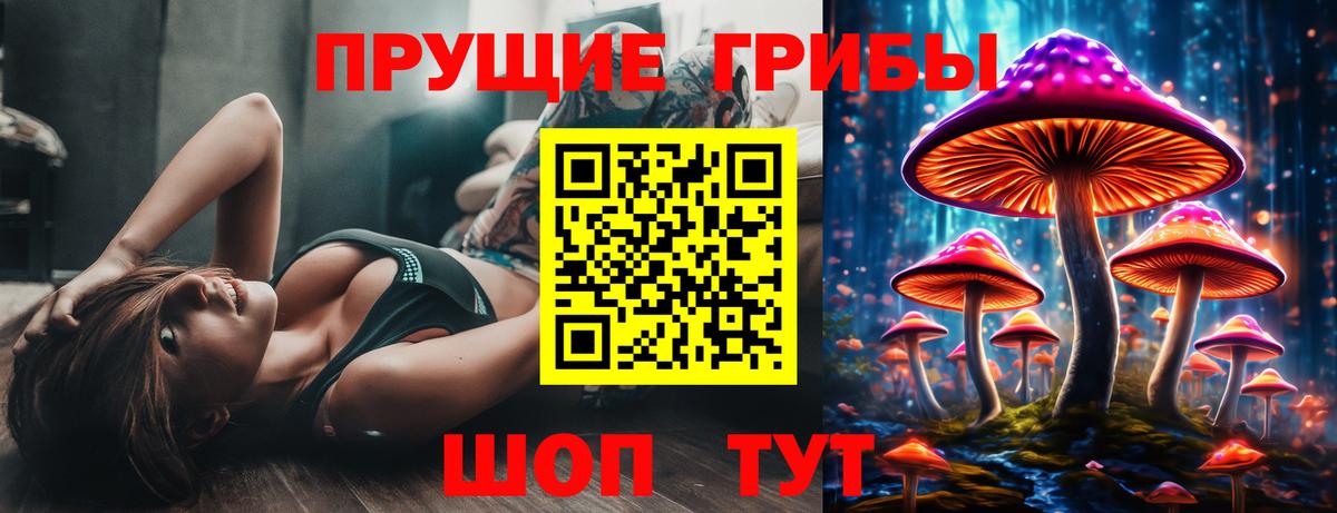 Псилоцибиновые грибы Psilocybine cubensis  Вход с VPN  Галлюциногенные грибы Psilocybine cubensis  Березники 